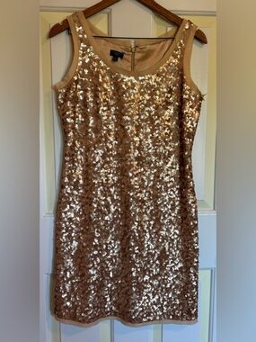 Talbots NWOT 8p Gold Sequin Silk Shift Dress